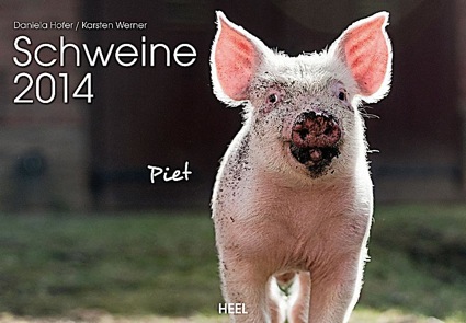 schweine-2014-071746934